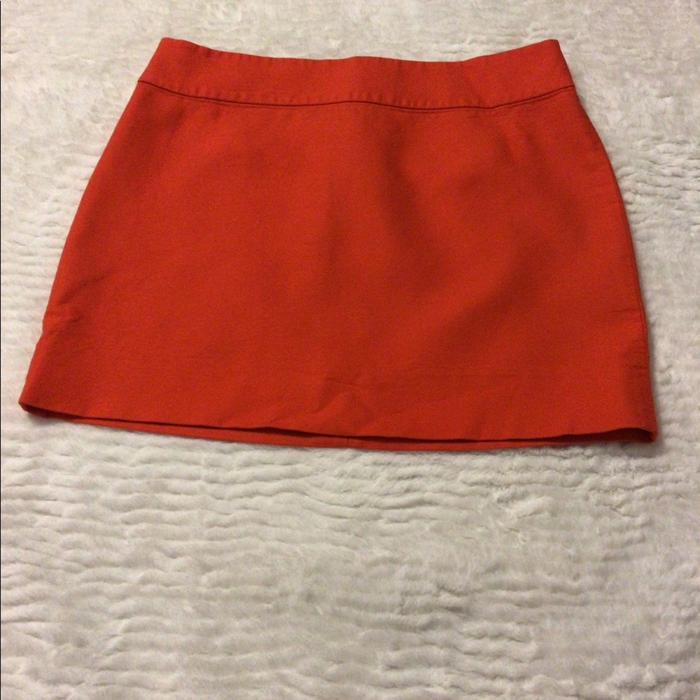 J. Crew Skirt